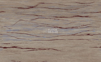 Ковролин Apoluza Wild 01 фото 1 | FLOORDEALER